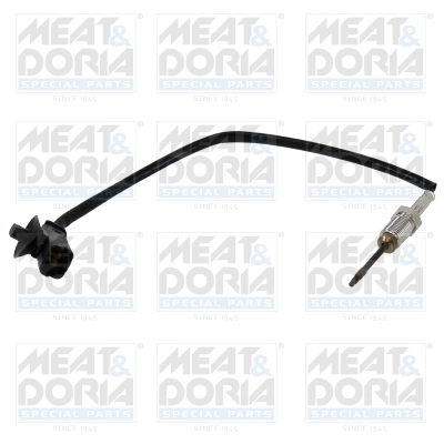Sensor, exhaust gas temperature